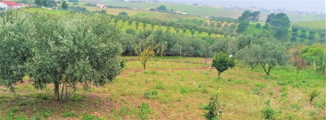 Bed and Breakfast Brezza tra gli alberi Alcamo Esterno foto